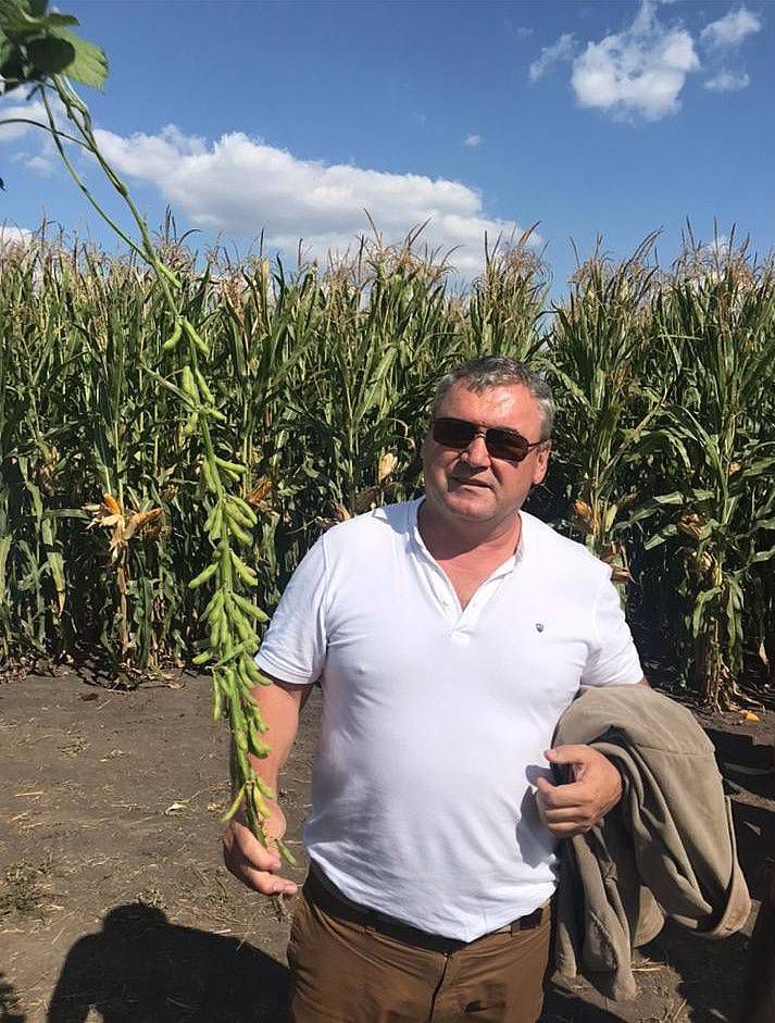 Соя зросла в площі та вартості