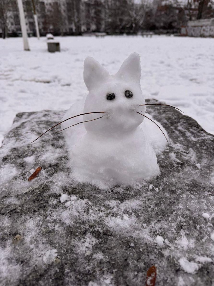 f94c6019 7845 4ced 94cb 3d3cd718a0831