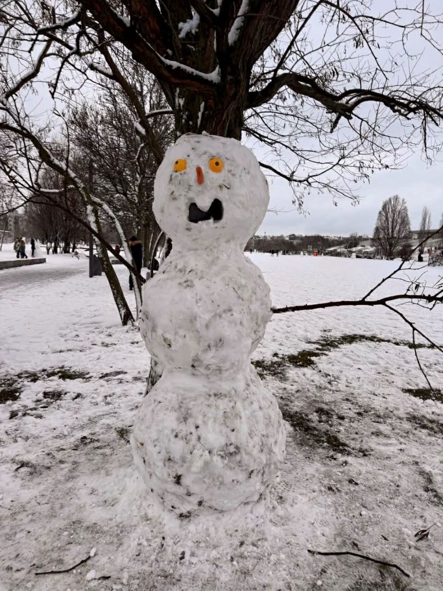 99119e52 e5d3 409e 98c7 7f5f0756393e2222