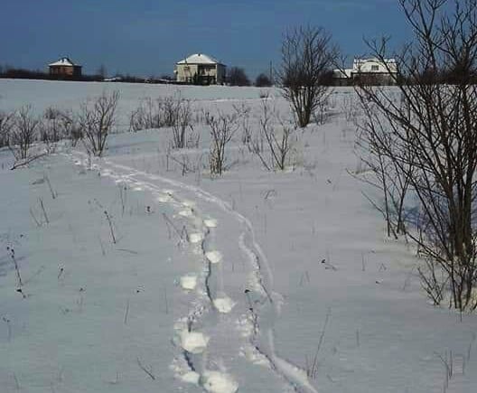 41bff950 b158 4e38 8418 0684fc549349