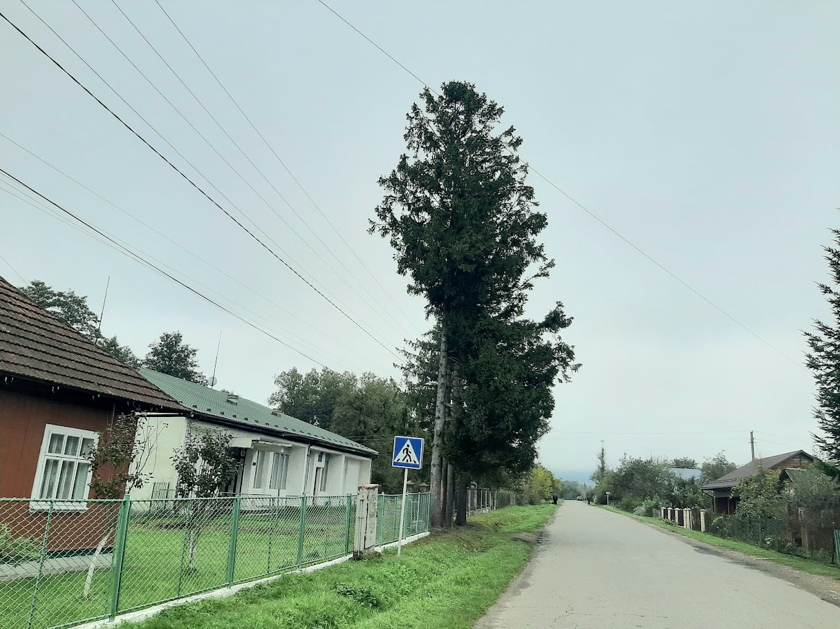 ec73623e edc5 4798 8af2 61ed80492d7f