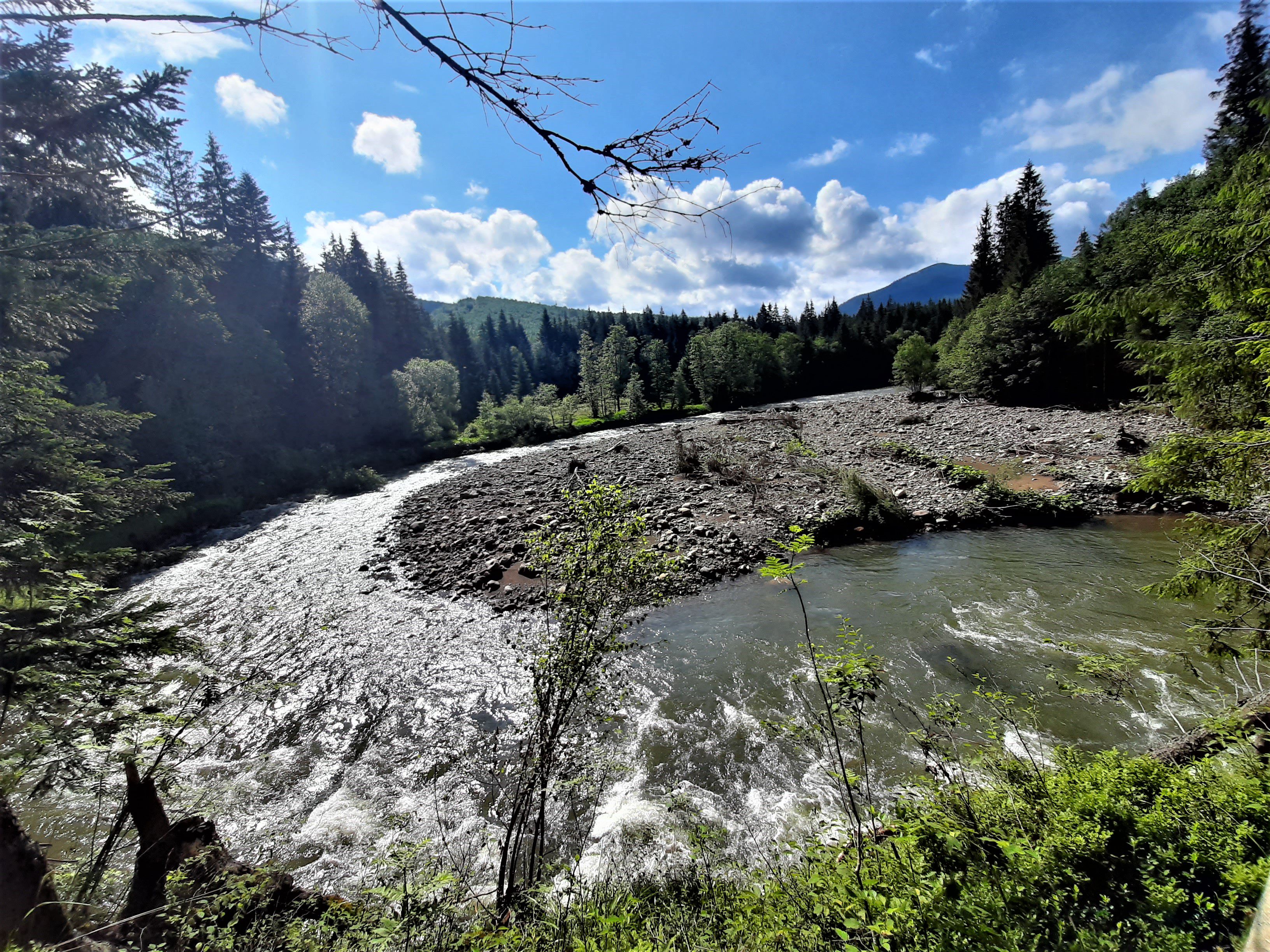 Прикарпаття: Вузькоколійку розібрали, та принади не забрали