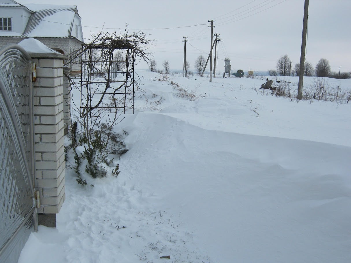 Арктична зима-2026: як синоптики помилилися з прогнозами