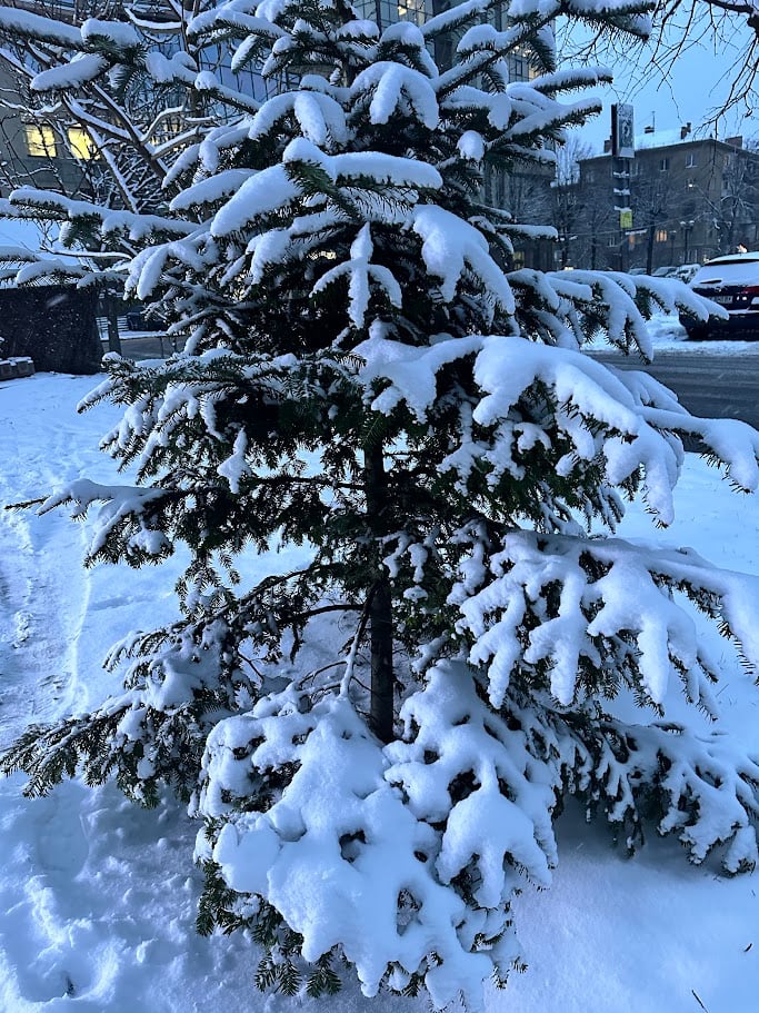 29a9bf40 e96b 4620 9eaf 7ba42cb74ad4