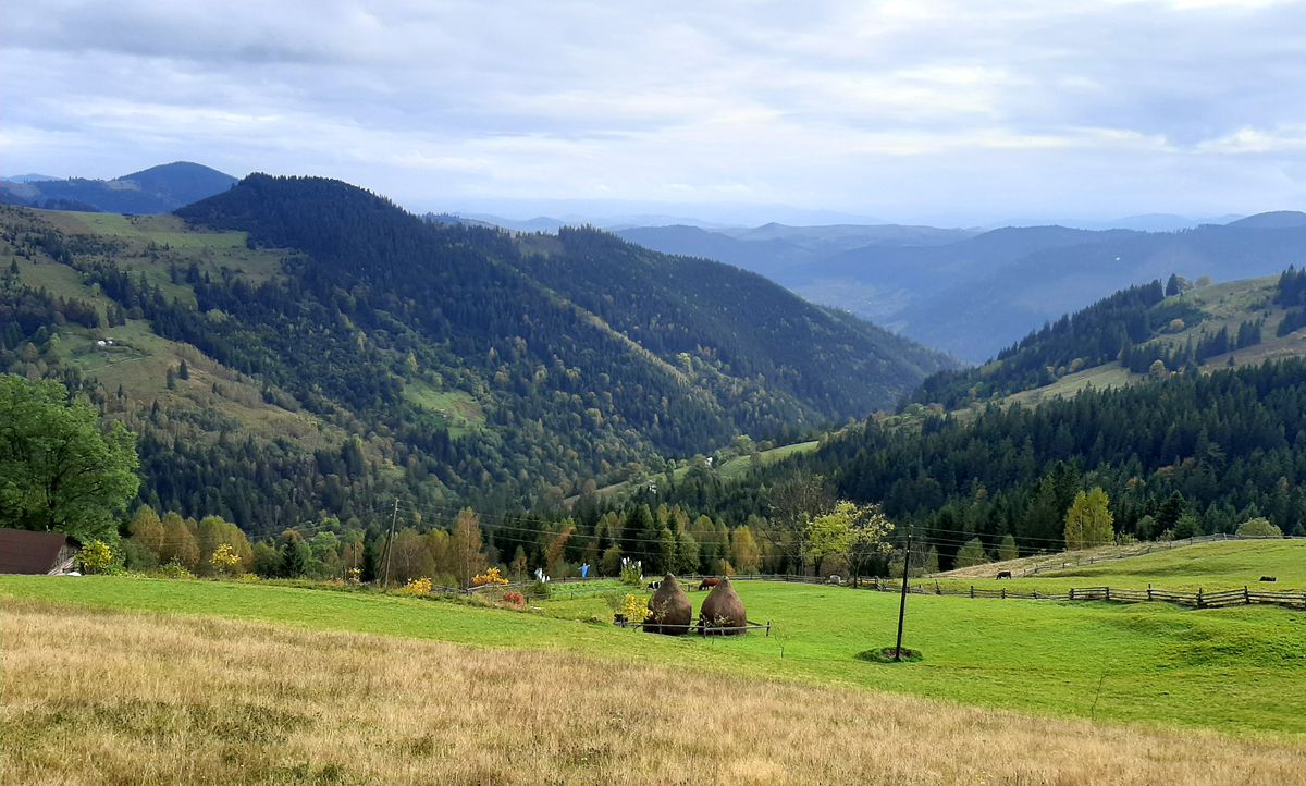 Івано-Франківщина: Землі повернули парку