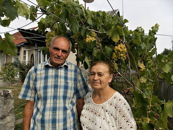 Виноградник для душі