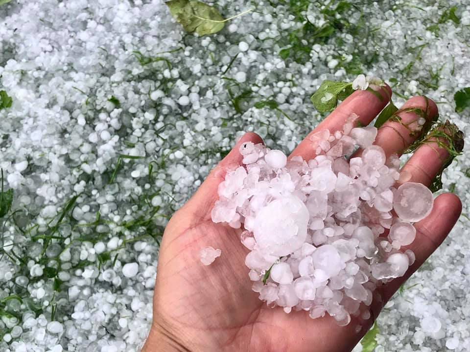 Івано-Франківщина: Град вибив городину й садовину