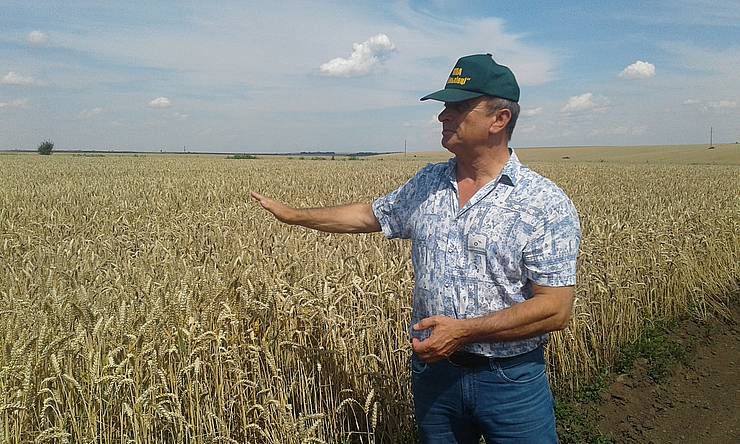 Жнива затягуються